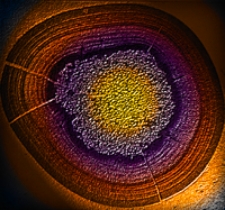 Geologiska Föreningens i Stockholm Förhandlingar ; 1902, Bd. 24, H. 1-7