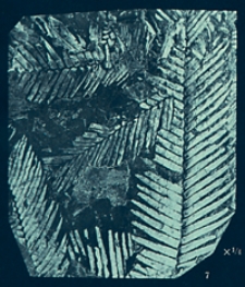 Geologiska Föreningens i Stockholm Förhandlingar ; 1913, Bd. 35, H. 1-7