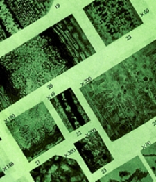 Geologiska Föreningens i Stockholm Förhandlingar ; 1915, Bd. 37, H. 1-7