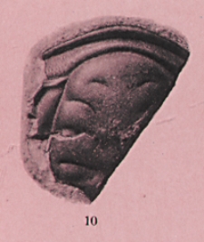 Geologiska Föreningens i Stockholm Förhandlingar ; 1917, Bd. 39, H. 1-7