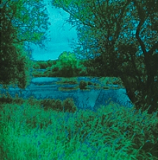 Geologiska Föreningens i Stockholm Förhandlingar ; 1939, Bd. 61, H. 1-4