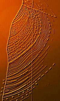 Jahresbericht der K. U. Geologischen Anstalt für 1885-1887