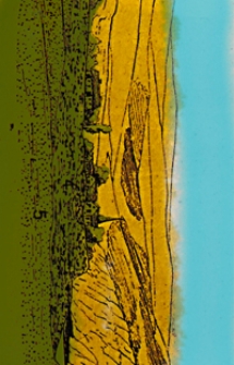 Jahresbericht der K. U. Geologischen Anstalt für 1909