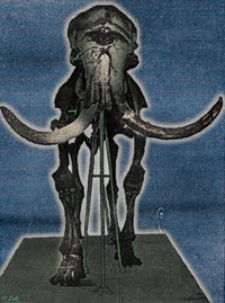 Jahresbericht der K. U. Geologischen Anstalt für 1912