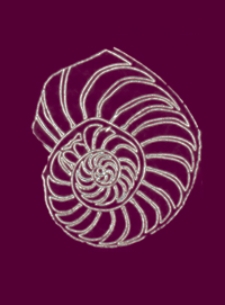 Jahresbericht der K. U. Geologischen Anstalt für 1917-1924