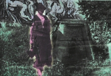 A Magyar Királyi Földtani Intézet Évi Jelentései az 1929-1932 Évekről.