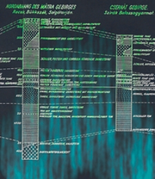 A Magyar Kir&aacute;lyi F&ouml;ldtani Int&eacute;zet &Eacute;vi Jelent&eacute;sei az 1936-1938 &Eacute;vekről. Bd. 1
