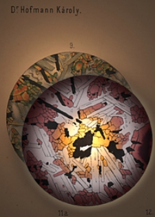 Mittheilungen aus dem Jahrbuche der K&ouml;n. Ungar. Geologischen Anstalt Bd. 4, H. 4