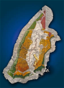 Mittheilungen aus dem Jahrbuche der K&ouml;n. Ungar. Geologischen Anstalt Bd. 11, H. 1/8