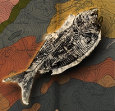 Mittheilungen aus dem Jahrbuche der K&ouml;n. Ungar. Geologischen Anstalt Bd. 14, H. 1/5