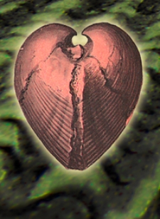 Mittheilungen aus dem Jahrbuche der K&ouml;n. Ungar. Geologischen Anstalt Bd. 17, H. 1/2