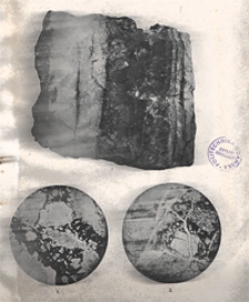 Mittheilungen aus dem Jahrbuche der K&ouml;n. Ungar. Geologischen Anstalt Bg. 19, H. 1/6