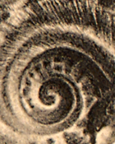 Mittheilungen aus dem Jahrbuche der K&ouml;n. Ungar. Geologischen Anstalt Bd. 27, H. 1/3