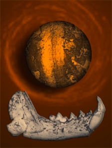 Magyar Kir&aacute;lyi F&ouml;ldtani Int&eacute;zet &Eacute;vk&ouml;nyve Bd. 29, H. 1/4