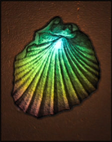 Magyar Kir&aacute;lyi F&ouml;ldtani Int&eacute;zet &Eacute;vk&ouml;nyve Bd. 31, H. 1/2