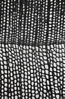 Jahrbuch der Königlich Preussischen Geologischen Landesanstalt und Bergakademie zu Berlin für das Jahr Bd. 29, T. 2 1908