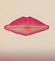 Jahrbuch der Königlich Preussischen Geologischen Landesanstalt zu Berlin 1914 Bd. 35 T. 1