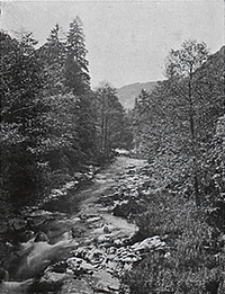 Jahrbuch der Königlich Preussischen Geologischen Landesanstalt zu Berlin 1914 Bd. 35 T. 2