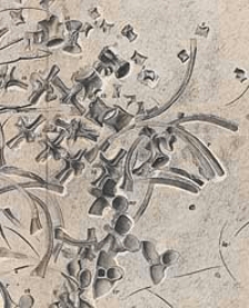 Jahrbuch der Königlich Preussischen Geologischen Landesanstalt zu Berlin 1916 Bd. 37 T. 1