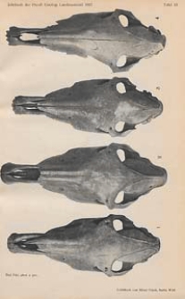 Jahrbuch der Preussischen Geologischen Landesanstalt zu Berlin f&uuml;r das Jahr Bd. 48 1927