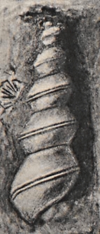 Jahrbuch der Preussischen Geologischen Landesanstalt zu Berlin f&uuml;r das Jahr Bd. 50, T. 1/2 1929