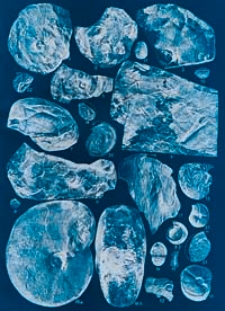 Jahrbuch der Preussischen Geologischen Landesanstalt zu Berlin f&uuml;r das Jahr Bd. 53 1932