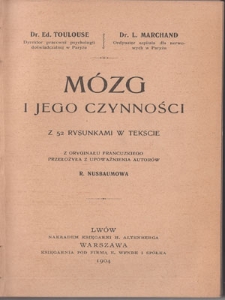 Mózg i jego czynności