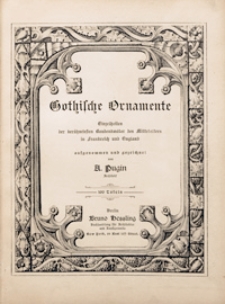 Gothische Ornamente : Einzelheiten der ber&uuml;hmtesten Baudenkm&auml;ler des Mittelalters in Frankreich und England