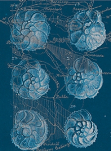 Jahrbuch der Kaiserlich-K&ouml;niglichen Geologischen Reichsanstalt Bd. 33 H. 1/4 1883