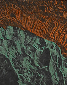 Abhandlungen der Königlich Preussischen Geologischen Landesanstalt : neue Folge 1892 H. 7