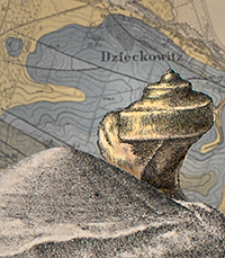 Abhandlungen der Königlich Preussischen Geologischen Landesanstalt : neue Folge 1906 H. 50