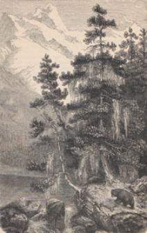 Deutsche Rundschau für Geographie und Statistik, 1890/1891 H 3