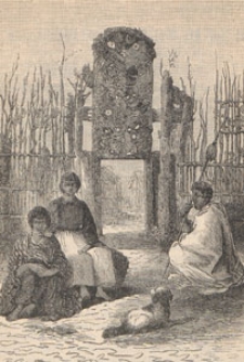 Deutsche Rundschau f&uuml;r Geographie und Statistik, 1891/1892 H 5