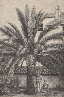 Deutsche Rundschau für Geographie und Statistik, 1891/1892 H 10