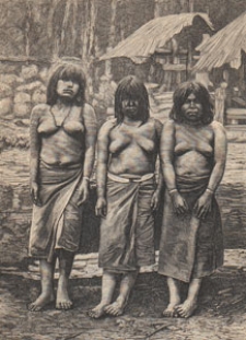 Deutsche Rundschau für Geographie und Statistik, 1892/1893 H 3