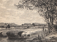 Deutsche Rundschau für Geographie und Statistik, 1892/1893 H 11