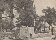 Deutsche Rundschau für Geographie und Statistik, 1899/1900 H 8