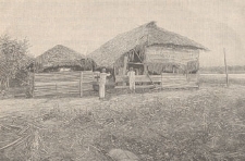 Deutsche Rundschau für Geographie und Statistik, 1900/1901 H 1