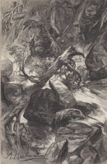 Deutsche Rundschau für Geographie und Statistik, 1889/1890 H 5