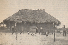 Deutsche Rundschau für Geographie und Statistik, 1902/1903 H 6