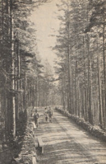 Deutsche Rundschau für Geographie und Statistik, 1902/1903 H 7