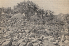 Deutsche Rundschau f&uuml;r Geographie und Statistik, 1903/1904 H 5