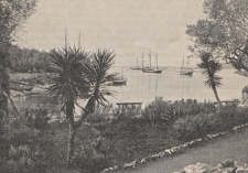 Deutsche Rundschau für Geographie und Statistik, 1904/1905 H 3