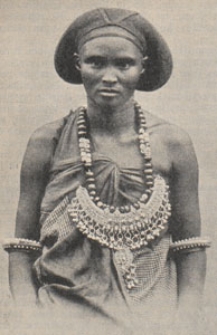 Deutsche Rundschau für Geographie und Statistik, 1905/1906 H 5