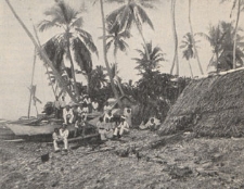 Deutsche Rundschau für Geographie und Statistik, 1906/1907 H 9