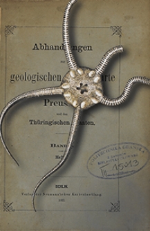 Abhandlungen zur Geologischen Specialkarte von Preussen und den Thüringischen Staaten 1872 Bd. 1, H. 1