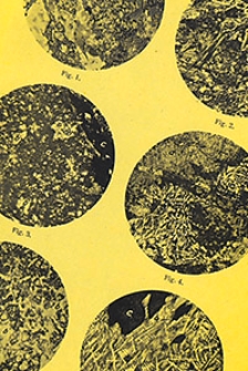 Abhandlungen der Königlich Preussischen Geologischen Landesanstalt : neue Folge 1913 H. 73