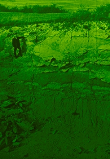 Abhandlungen der Königlich Preussischen Geologischen Landesanstalt : neue Folge 1909 H. 56