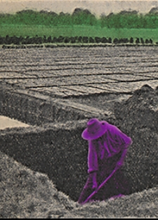 Abhandlungen der Königlich Preussischen Geologischen Landesanstalt : neue Folge 1911 H. 55, Bd. 2 [1]