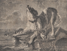 Das Pfennig-Magazin für Belehrung und Unterhaltung, 1851.03.01 nr 426